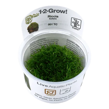 1-2-Grow! Riccia fluitans