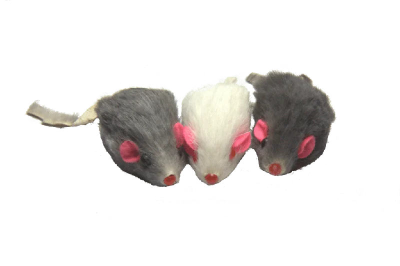 Dr. Pussums' Mischief of Marinated Mice