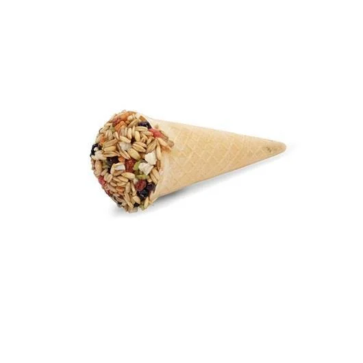 Living World Ice Cream Cone - Fruit 40g