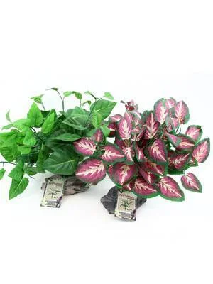 Pet-Tekk Habi-Scape Tropical Plant on Stone Base