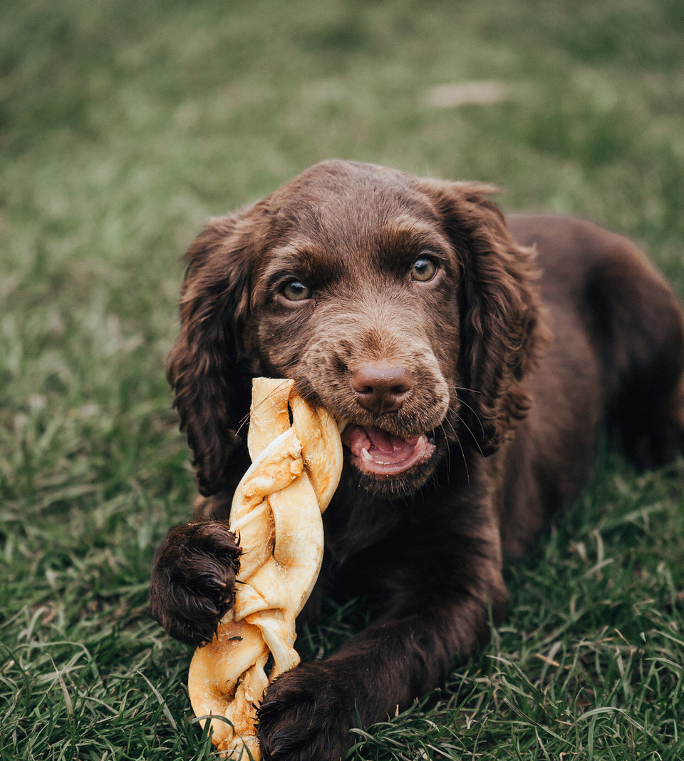 Anco Naturals Beef medium Braid Dog Chew