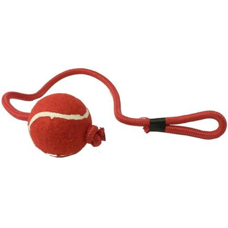 Cheeko Tennis Ball On Rope