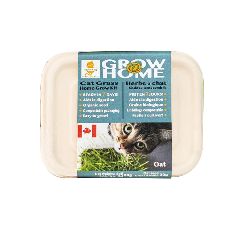 LUCKY KITTY Grow-at-Home Cat Grass, Oat