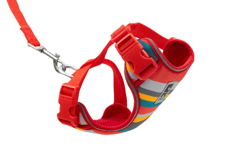 RC PETS Adventure Kitty Harness w/Leash Multi-Stripes, large