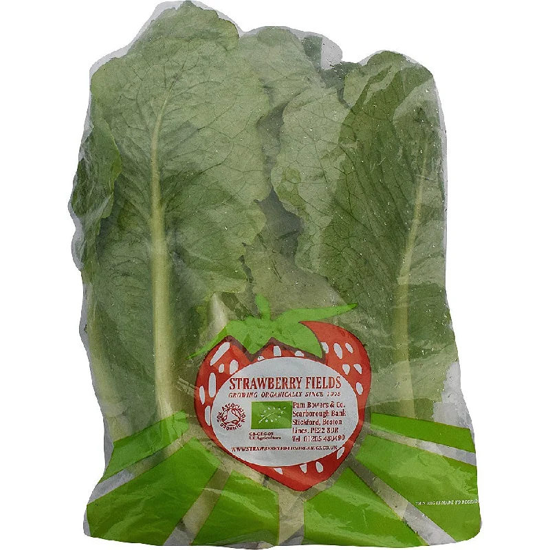 Cos Lettuce each