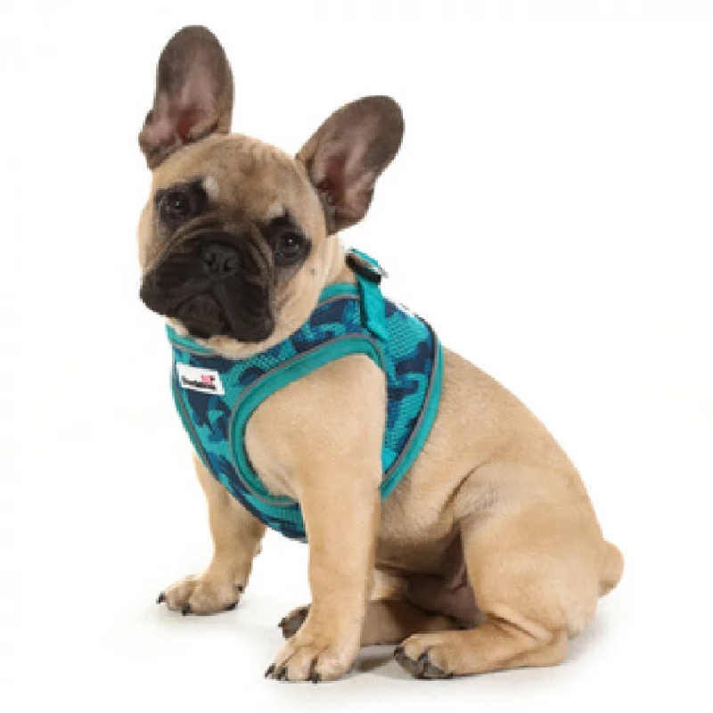 Doodlebone - Originals Snappy Harness - Aqua - Size 6