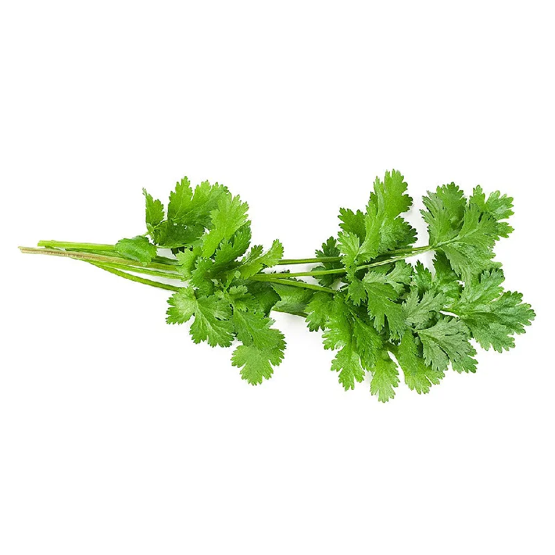 Fresh Coriander 20g