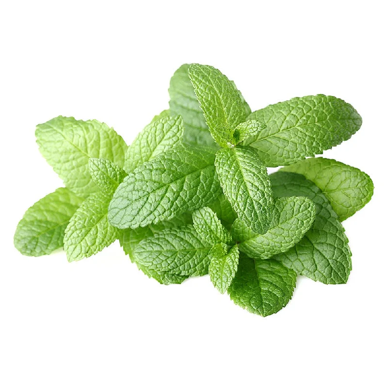 Fresh Mint 20g