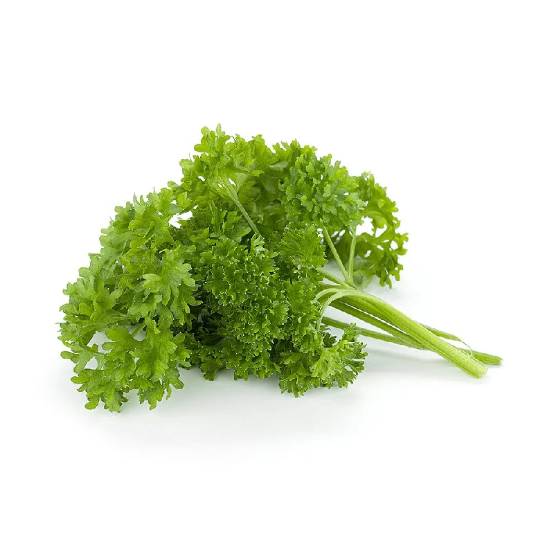 Fresh Parsley Curly 20g