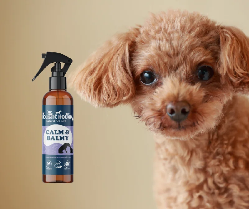 Holistic Hound Dog Care Calmy Balmy