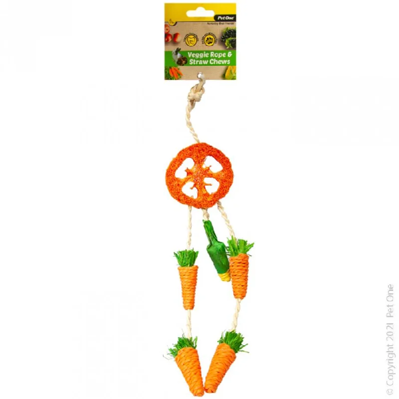 Pet One Veggie Rope and Straw Chew Hanging Dreamcatcher Small Animal Toy