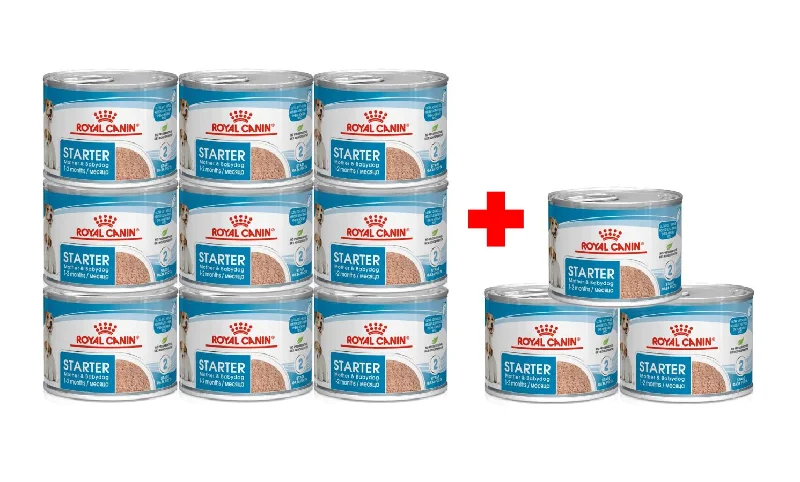 ROYAL CANIN CHN Starter Mousse 195g, 9+3 BONUS