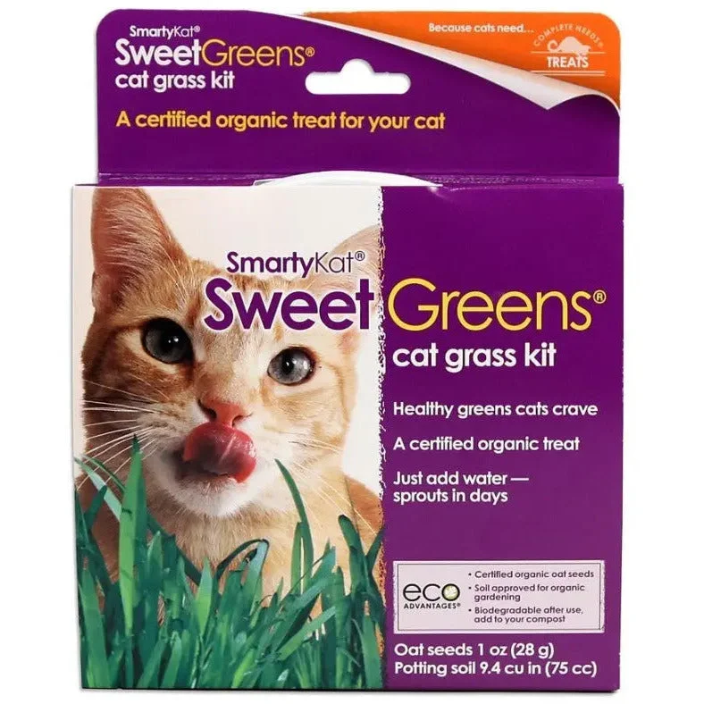 SmartyKat Sweet Greens Cat Grass Kit